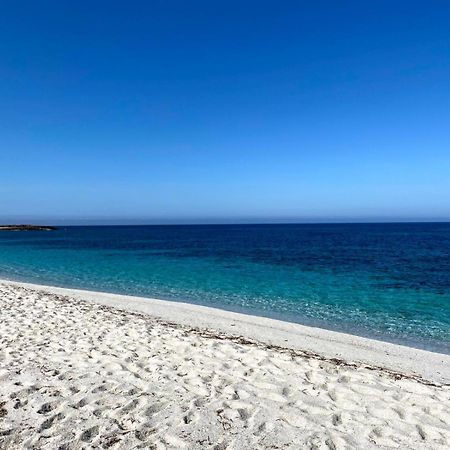 Casa Vacanze Da Roberta A Pochi Km Da Oristano Simaxis Ngoại thất bức ảnh